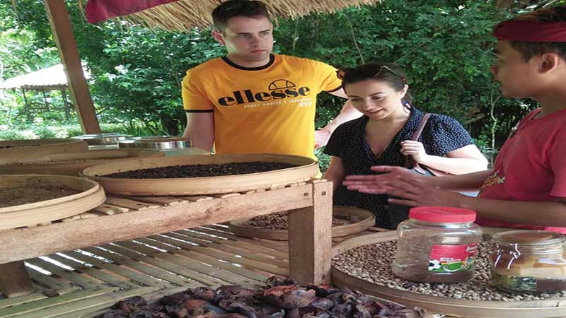 Bali River Rafting and Coffee Plantation